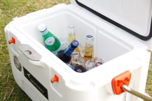 best car cooler for road trips