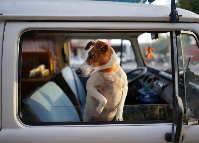 How To Keep Car Cool In Arizona