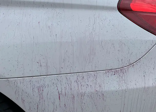 iron spots on the car